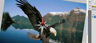 Experience Graphics Plus