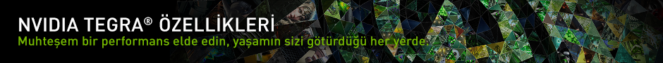 Tegra Özellikleri Tegra Özellikleri