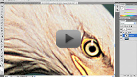 Adobe Photoshop CS4