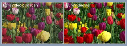 Precise, vivid colors on any display
